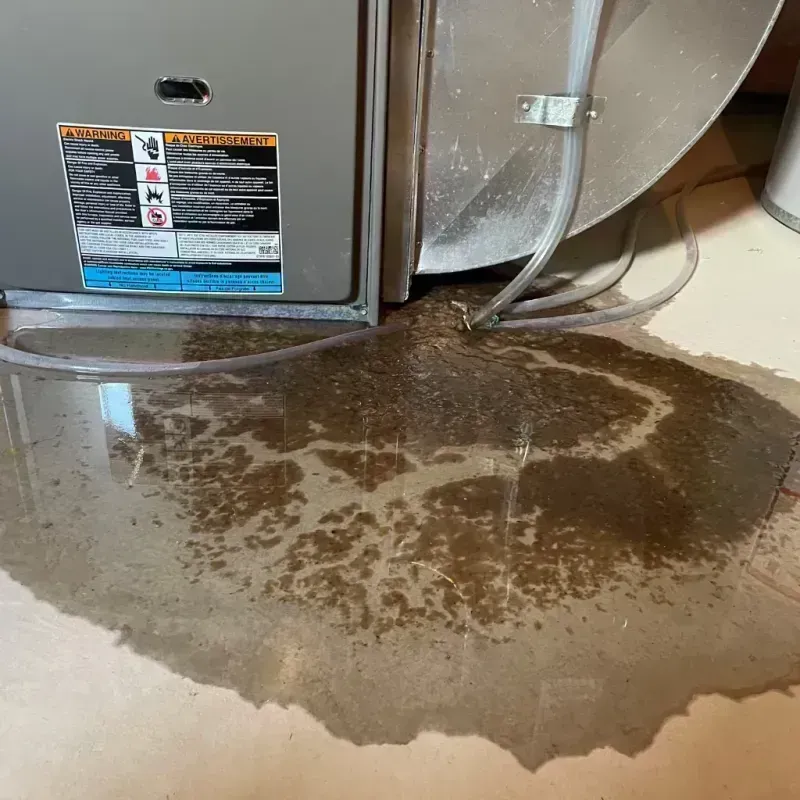 Appliance Leak Cleanup in Hilltop Lakes, TX